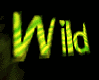 Welcome to Where the Wild Toys Are